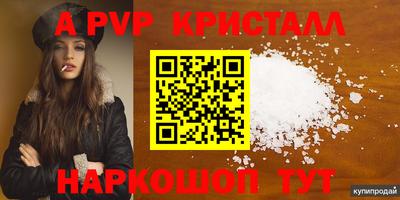 PSILOCYBIN Кинель