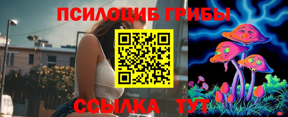 Кольчугино  наркота  Вход с VPN  Псилоцибиновые грибы Psilocybine cubensis 